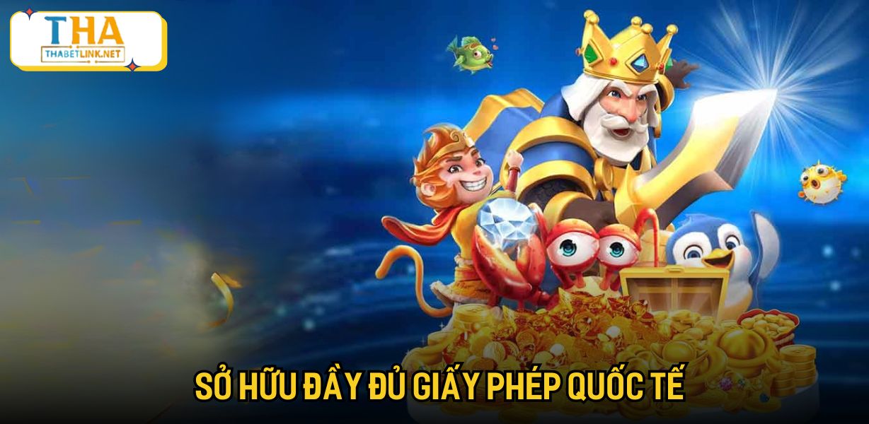 Sở hữu đầy đủ giấy phép quốc tế