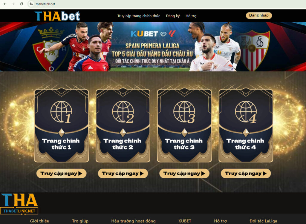 điền đúng đường link là cách truy cấp chính xác nhất