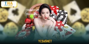 Ycs65net